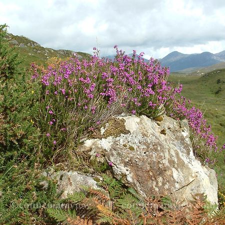 Errismore House Clifden Bagian luar foto